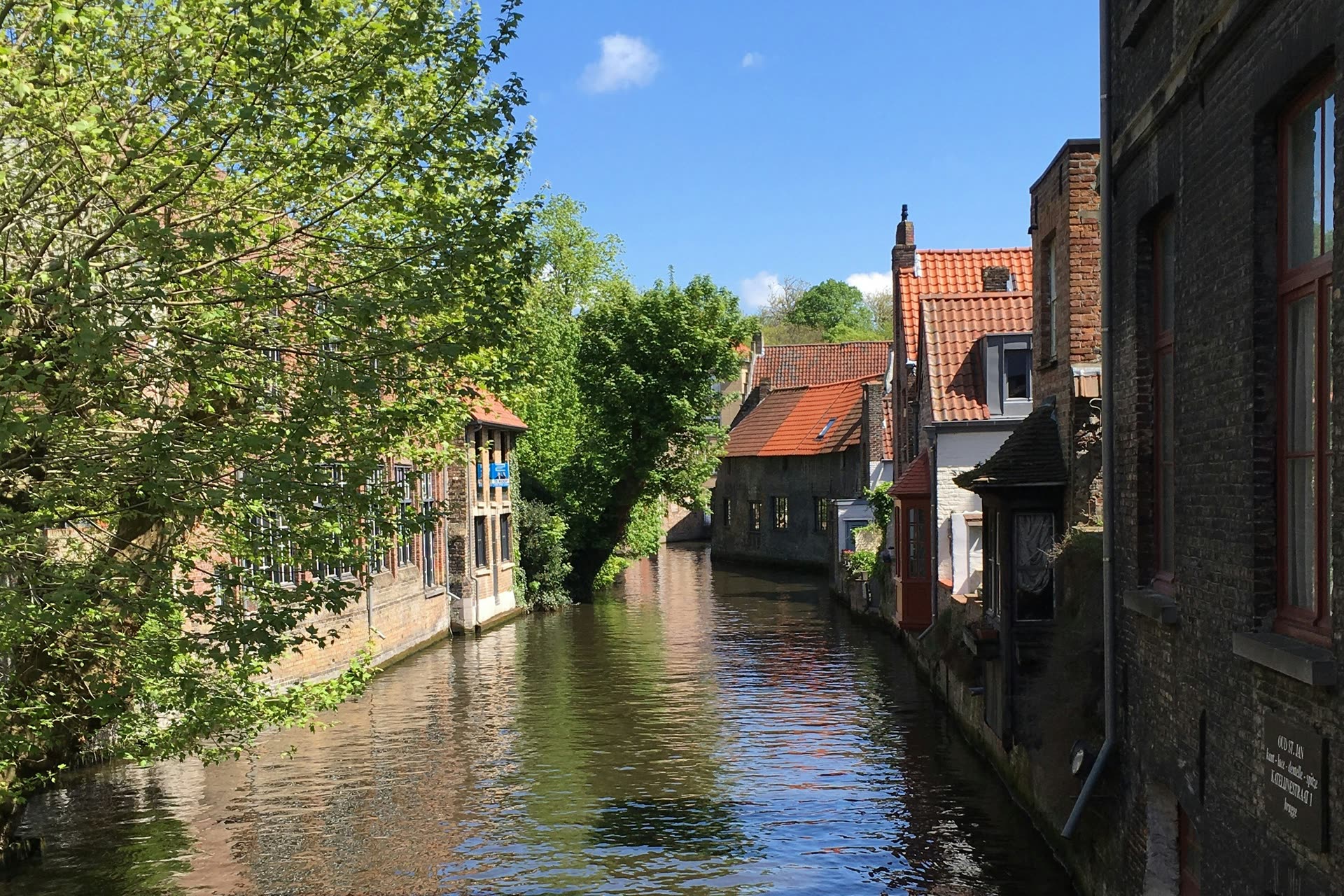 A sunlit canal lined with historic brick buildings and overhanging trees in Bruges