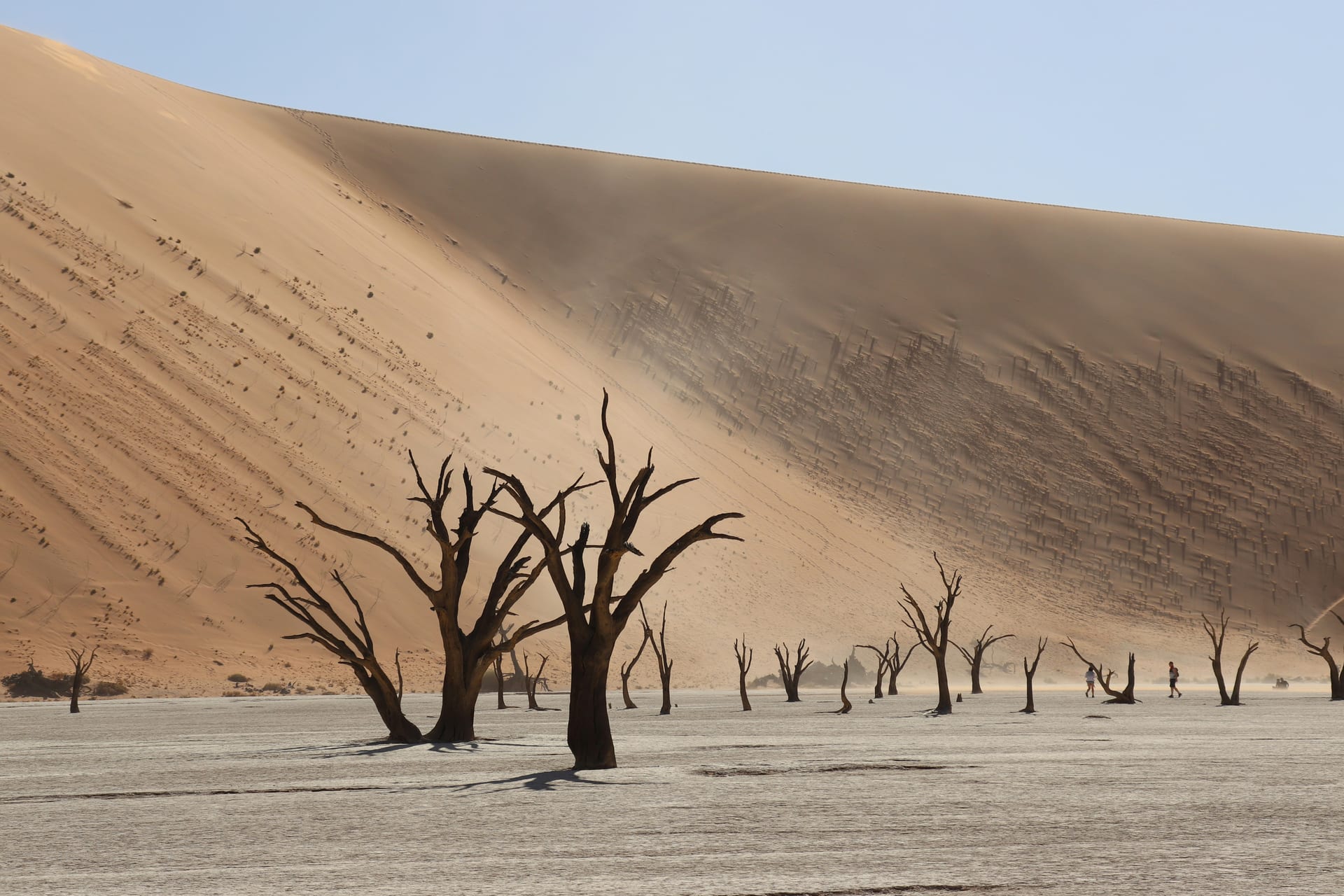 Dark, leafless dead camelthorn trees on the flat pale-grey clay floor of Deadvlei, below a huge tan-orange sand dune with sand blowing off its face under a pale blue sky; two small figures walk in the far distance