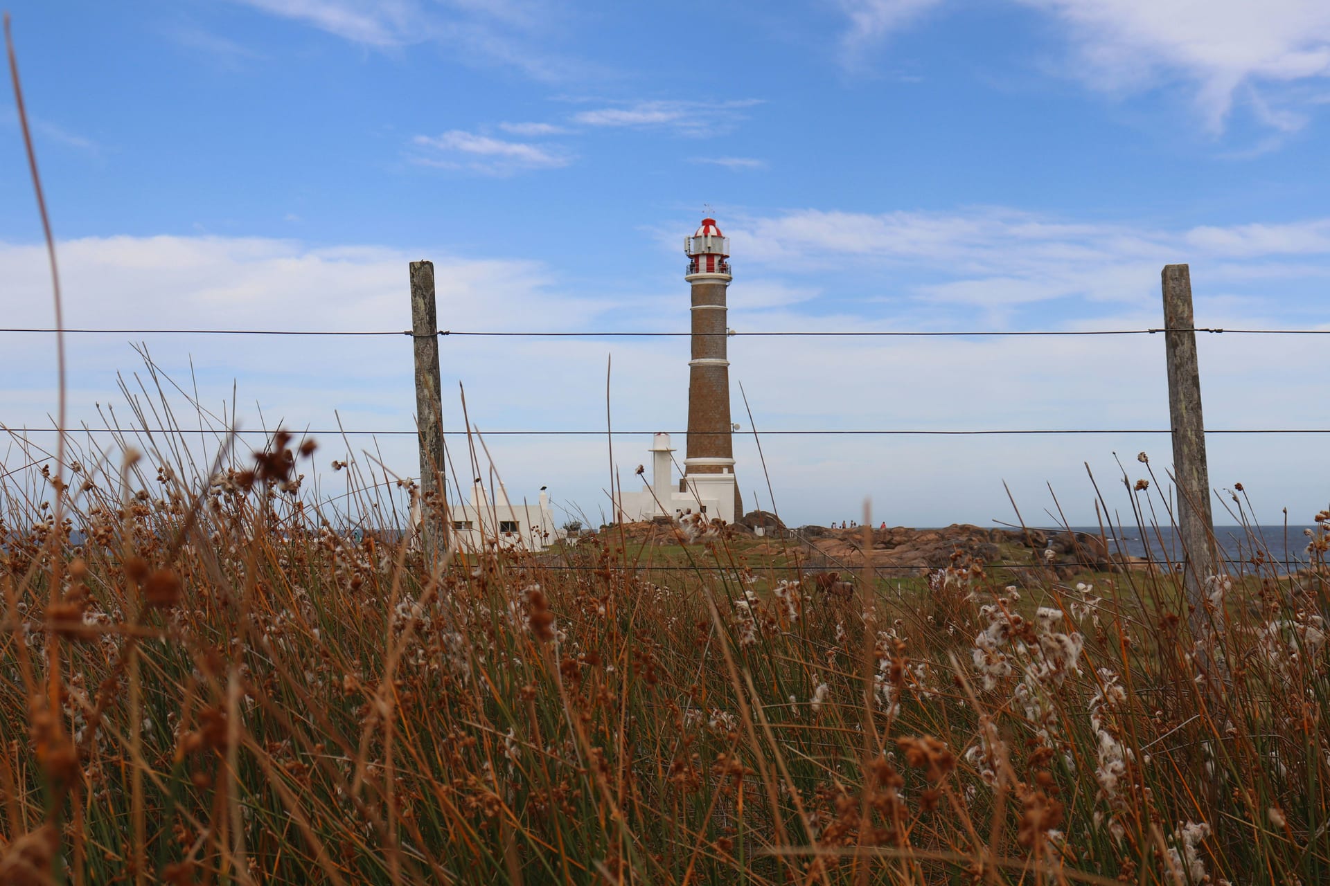 Brick lighthouse with a red-and-white lantern and low white buildings on a rocky point at Cabo Polonio, seen through a wire fence and tall dry grasses under a blue sky